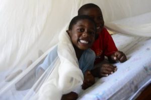 WhatsApp Image 2025-07-21 at 10.02.38 AM (1)