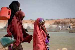 WhatsApp Image 2025-12-02 at 10.17.33 AM