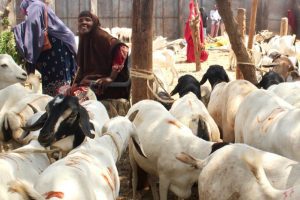 WhatsApp Image 2025-12-02 at 10.20.02 AM